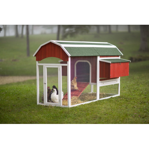 Archie & Oscar™ Hermione Large Barn Chicken Coop with Chicken Run For